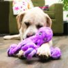 Kong softseas octopus - Afbeelding 3