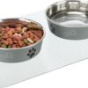 Trixie placemat vinyl transparant - Afbeelding 2