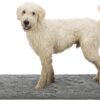 Trixie schoonloopmat waterdicht grijs - Afbeelding 6