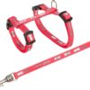Trixie konijnentuig met riem baby bunny assorti - Afbeelding 6