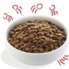 Edgard & cooper senior verse scharrelkip / noorse zalm graanvrij - Afbeelding 2