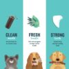 Edgard & cooper dental sticks aardbei / mint - Afbeelding 3