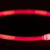 Trixie lichtgevende halsband usb flash light oplaadbaar tpu rood