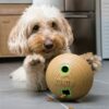 Kong bamboo feeder bal voerbal - Afbeelding 2