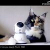 Eyenimal pet vision live hd camera met geluidsdetectie - Afbeelding 4