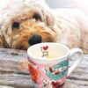 Blond amsterdam kopje dog lover - Afbeelding 6
