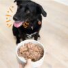 Edgard & cooper multipack hond adult kip / lam graanvrij - Afbeelding 2