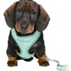 Trixie junior puppytuig soft met riem mintgroen - Afbeelding 2