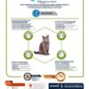 Advance cat junior sterilized chicken - Afbeelding 3
