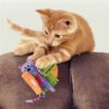 Kong pull-a-partz purrito - Afbeelding 2