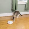 Petsafe zip - Afbeelding 4