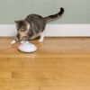 Petsafe zip - Afbeelding 5