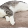 Trixie vital ligmat lonni orthopedisch lichtbruin - Afbeelding 6