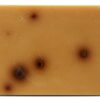 Beloved clean pet shampoo bar - Afbeelding 2