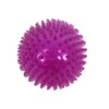 Zolux pop tpr stekelbal roze