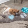Trixie pluche luiaard grijs met heartbeat voor puppy - Afbeelding 8