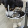 Trixie voerbak hond slow feeding rvs - Afbeelding 5