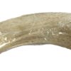 Petsnack hoorn core - Afbeelding 2
