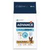 Advance adult duitse herder