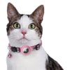 Croci halsband kat met tag houder roze - Afbeelding 2