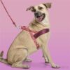 Morso norwegian hondentuig gerecycled pink think roze - Afbeelding 5