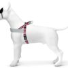 Morso norwegian hondentuig gerecycled skyline rood / roze