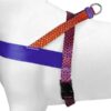 Morso norwegian hondentuig gerecycled urban lizard rood - Afbeelding 3