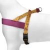 Morso norwegian hondentuig gerecycled jungle drum oranje - Afbeelding 3