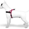 Morso norwegian hondentuig gerecycled bubble leo roze - Afbeelding 2