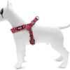 Morso mini hondentuig verstelbaar gerecycled bubble leo roze - Afbeelding 2
