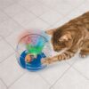 Kong bat-a-bout aquarium met catnip - Afbeelding 4