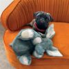 Kong comfort kiddos jumbo olifant - Afbeelding 3