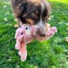 Kong scrumplez bunny pluche met piep roze - Afbeelding 3