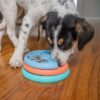 Nina ottesson puppy lickin layers - Afbeelding 4