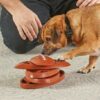 Brightkins touchdown time treat puzzle - Afbeelding 3