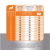 Prins fit selection kip / rijst - Afbeelding 2