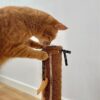 Martin kattenspeelgoed leana kicker met catnip gerecycled assorti - Afbeelding 3