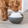 Trixie vital dome drinkfontein keramiek grijs / wit - Afbeelding 9