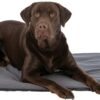 Trixie ligmat amelie donkergrijs - Afbeelding 5