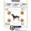 Advance veterinary diet dog weight balance mini - Afbeelding 3