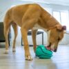Kong licks rewards groen - Afbeelding 5