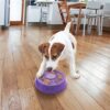 Kong licks spinz paars - Afbeelding 7