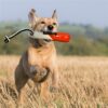Kong wild shieldz training dummy oranje / wit - Afbeelding 4