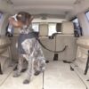 Kong autogordel hond cargo swivel - Afbeelding 5