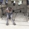 Kong autogordel hond cargo swivel - Afbeelding 7