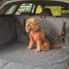 Kong autogordel hond cargo swivel - Afbeelding 8