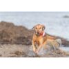 Trixie aqua snack boei tpr - Afbeelding 8