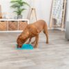 Trixie lick 'n' snackmat siliconen blauw - Afbeelding 10
