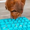 Trixie lick 'n' snackmat siliconen blauw - Afbeelding 11