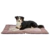 Trixie ligmat viviana oudroze - Afbeelding 6